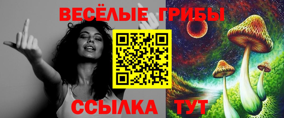 Острогожск  Псилоцибиновые грибы Cubensis  Вход с VPN 