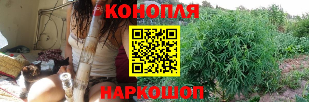 Канабис планчик  Бошки марихуана конопля  Марихуана гибрид  Вход с VPN  Острогожск 